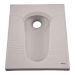 Aralia semi-medical waterjet toilet